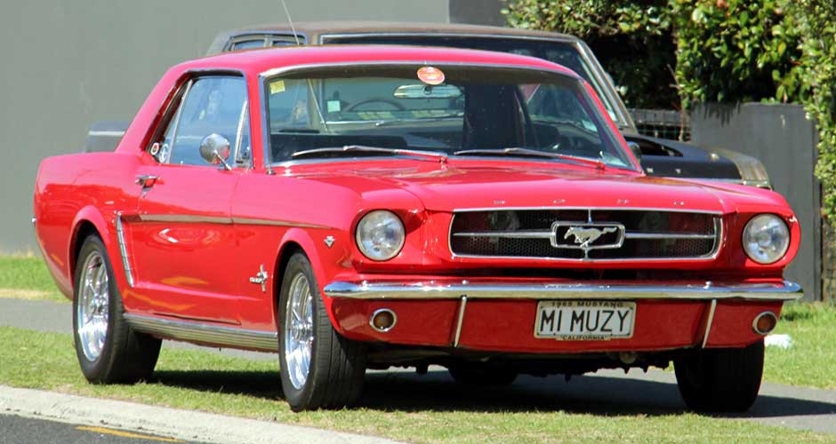 Rebecca Stokes: '65 Mustang